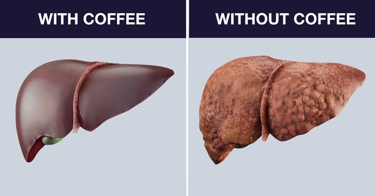 9 Foods That Are Good For The Liver