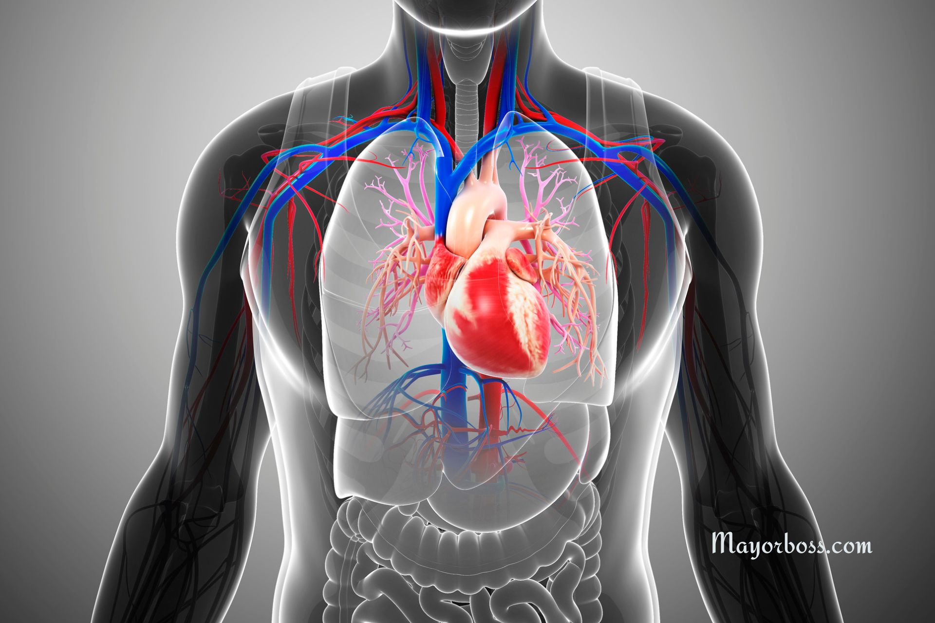 How to Increase Your Blood Oxygen Level