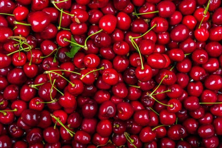 Is Eating Cherries Everyday Good for You?