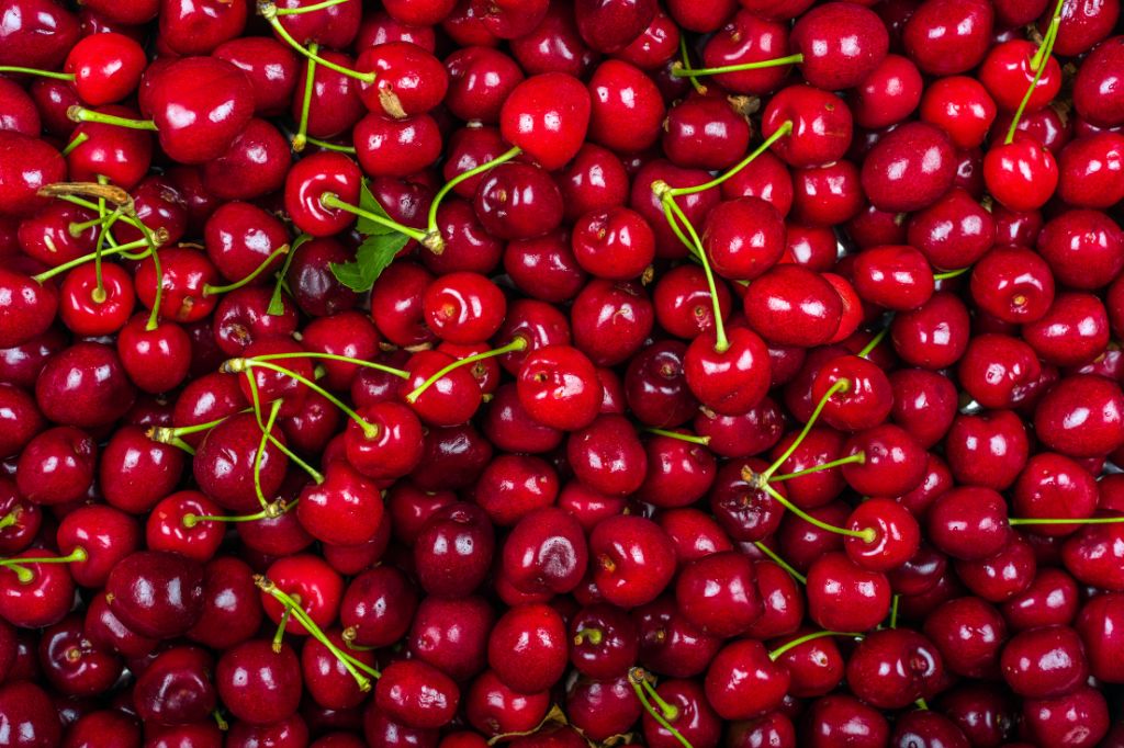Is Eating Cherries Everyday Good for You?
