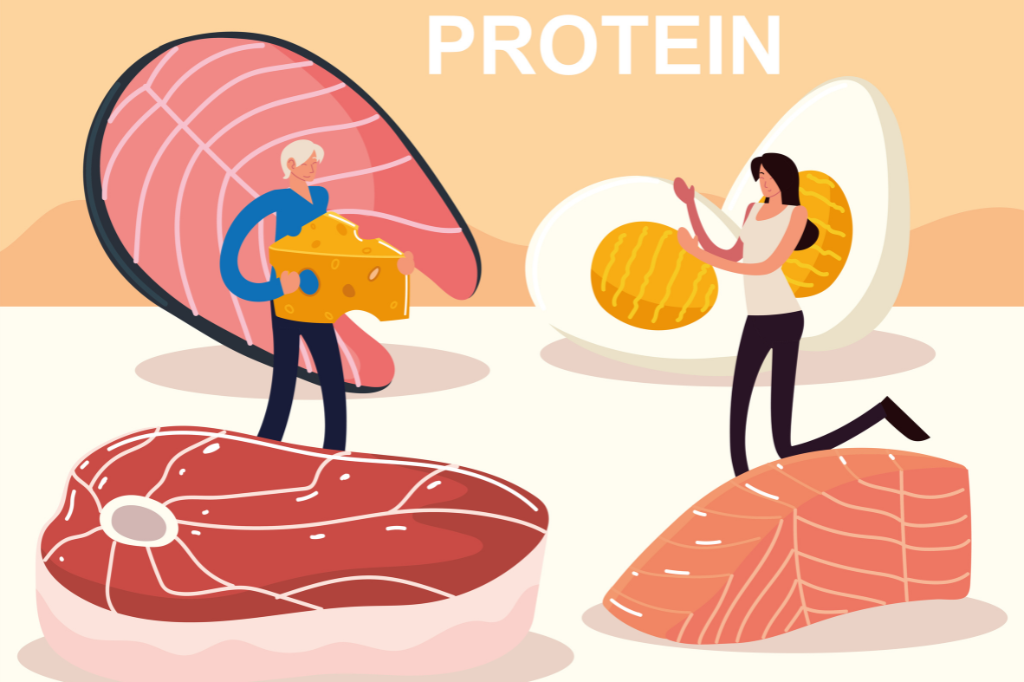 What is Protein?