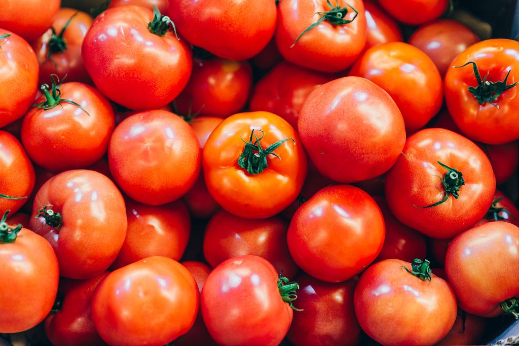 Reasons Why You Should Eat Tomatoes Every Day