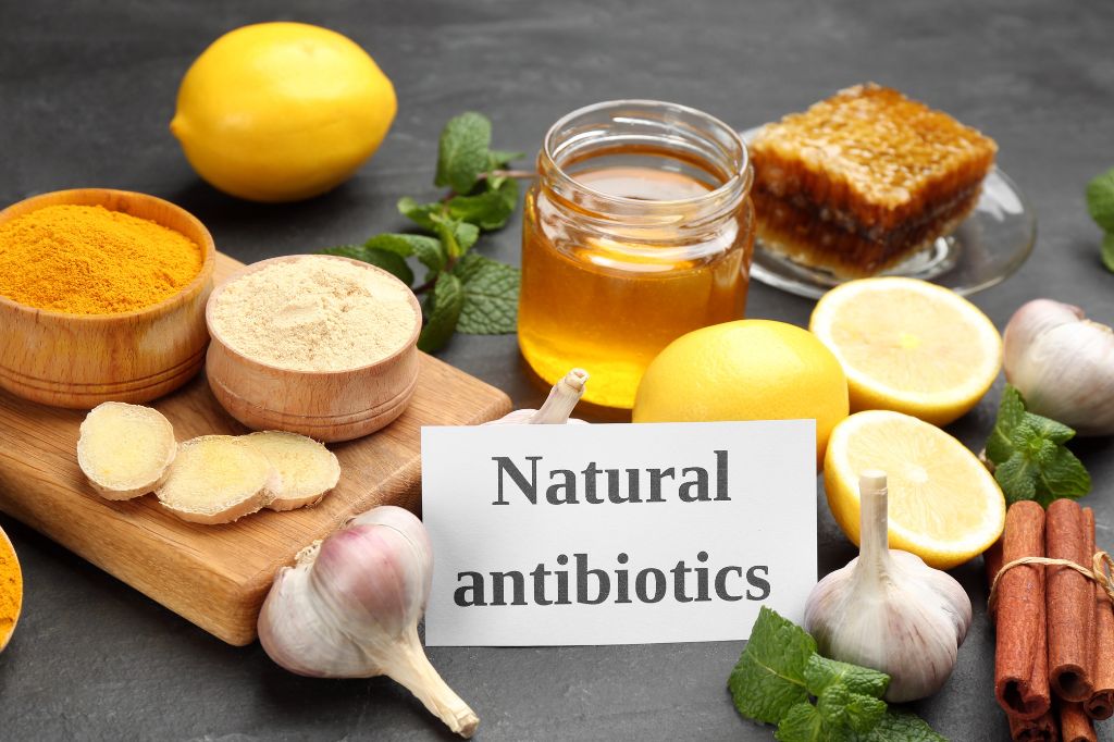 Natural Antibiotics to Help Fight Bacterial Infections
