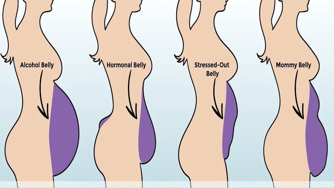 Types Of Bellies