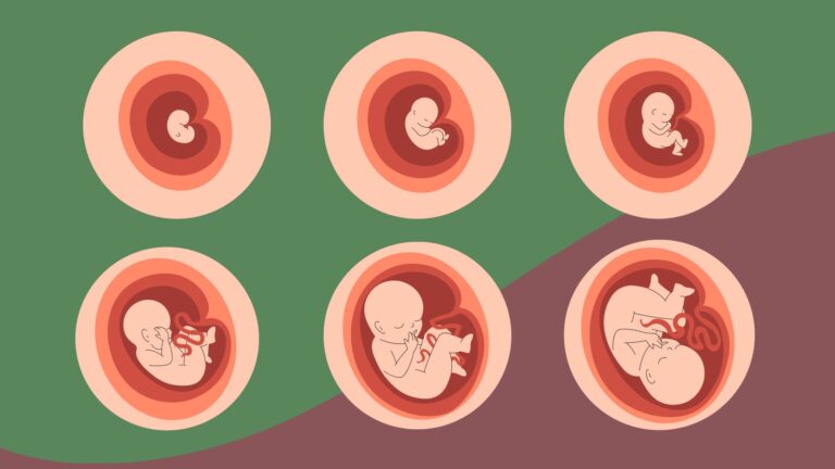Frequently Asked Questions about Pregnancy