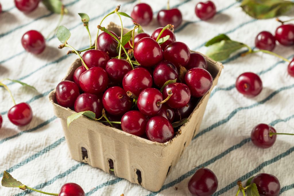 Foods and Drinks to Have Before Bed