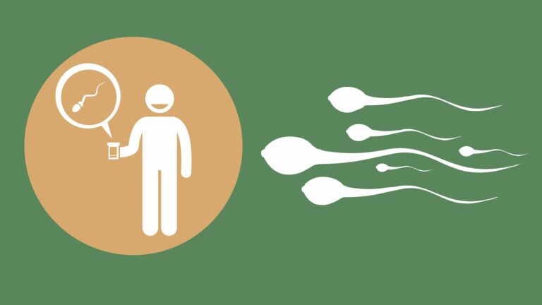 How to Improve Sperm Quality and Increase Fertility