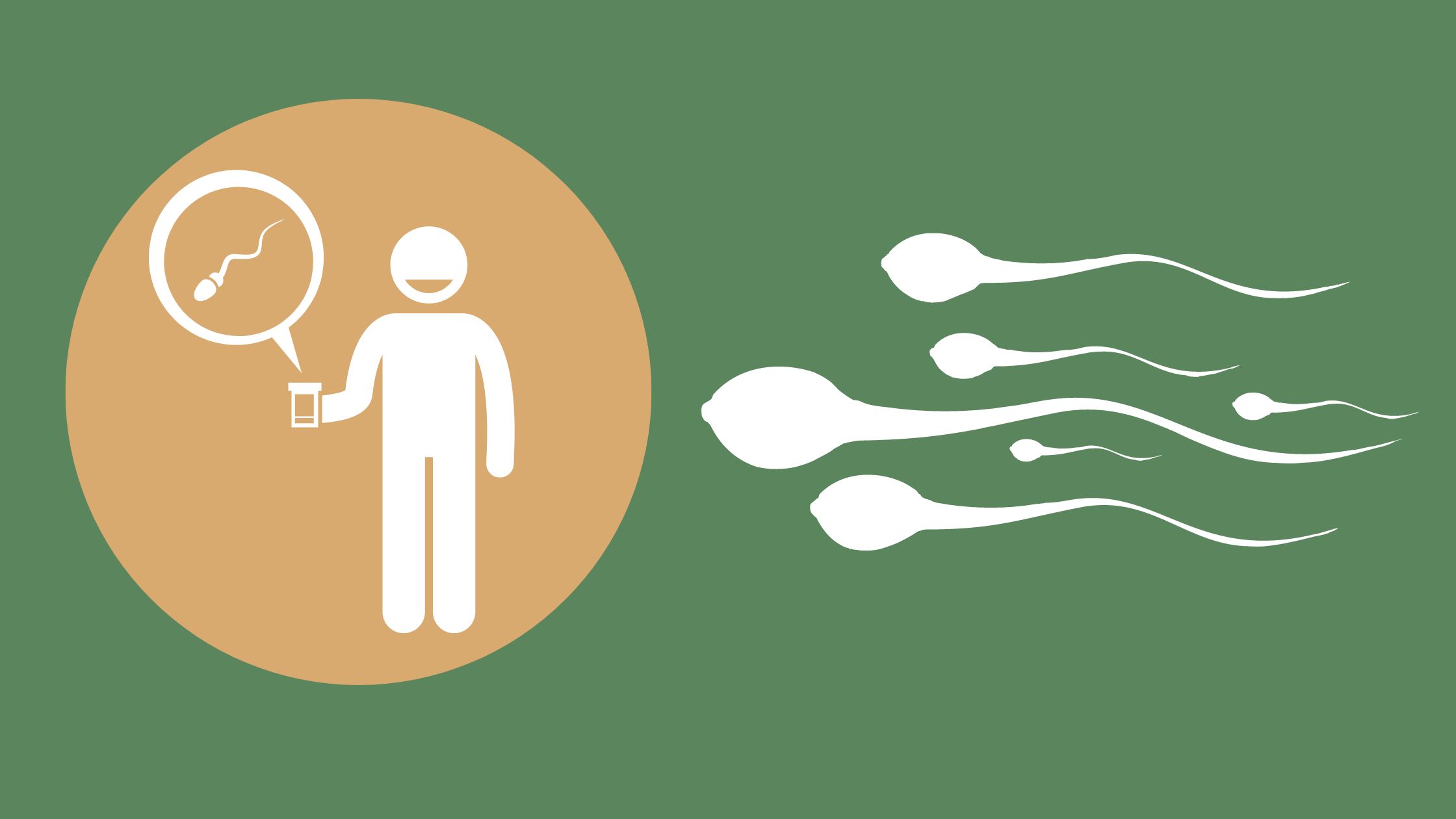 How to Improve Sperm Quality and Increase Fertility