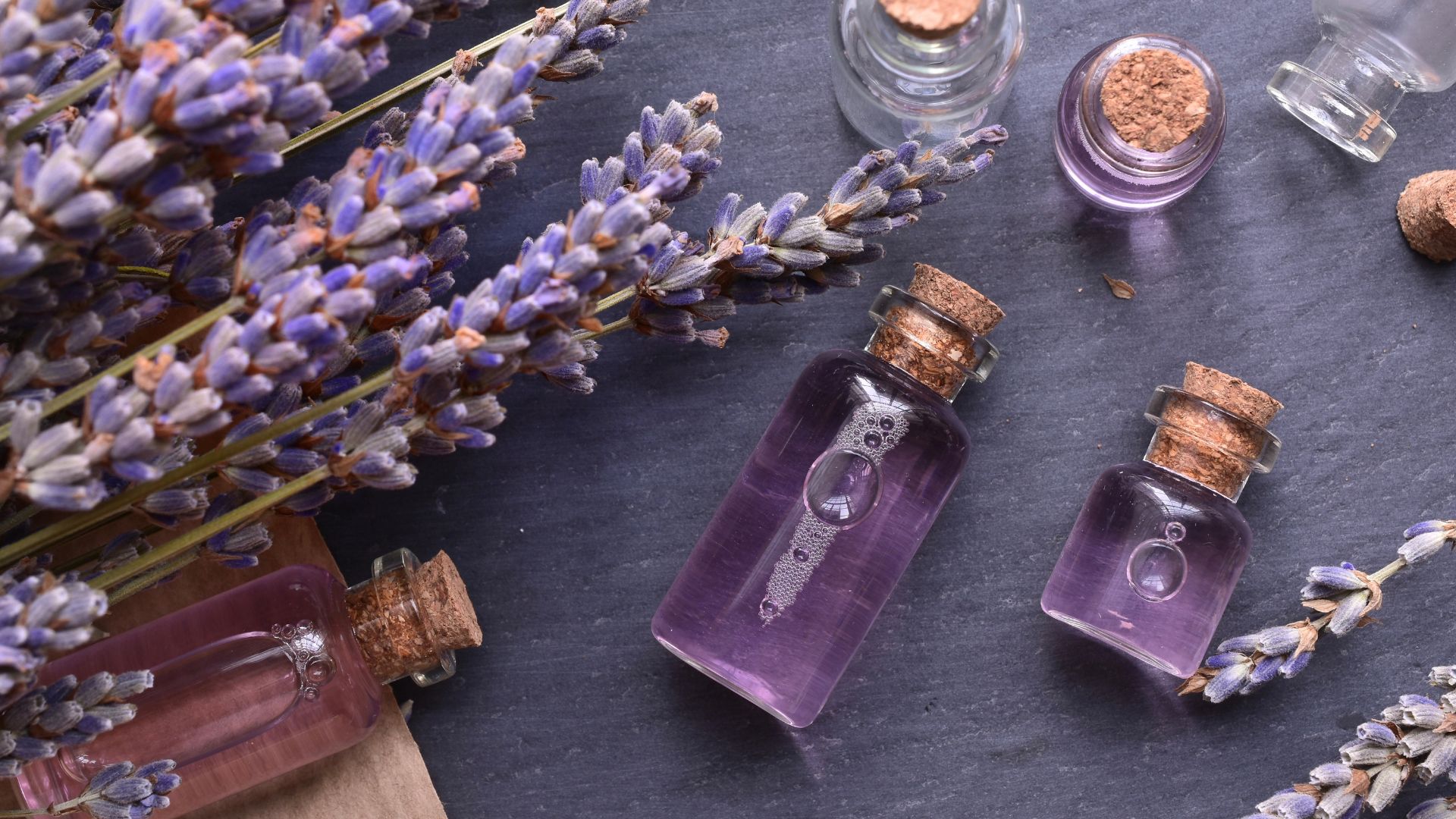 Benefits of Lavender Oil