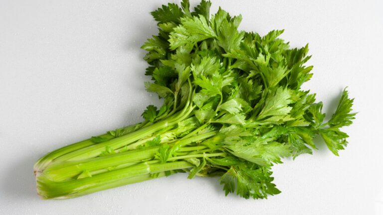 Herbs For High Blood Pressure