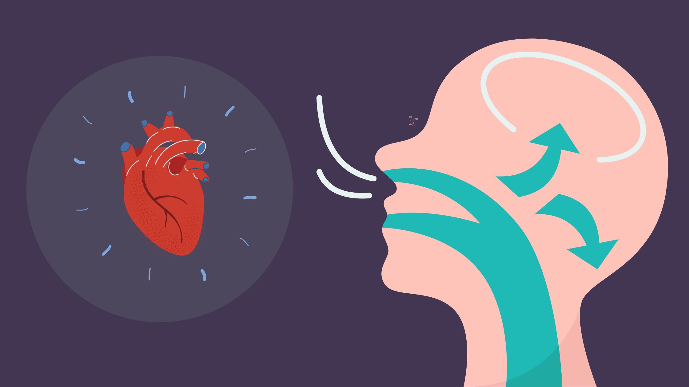 How To Stop Your Heart Palpitations