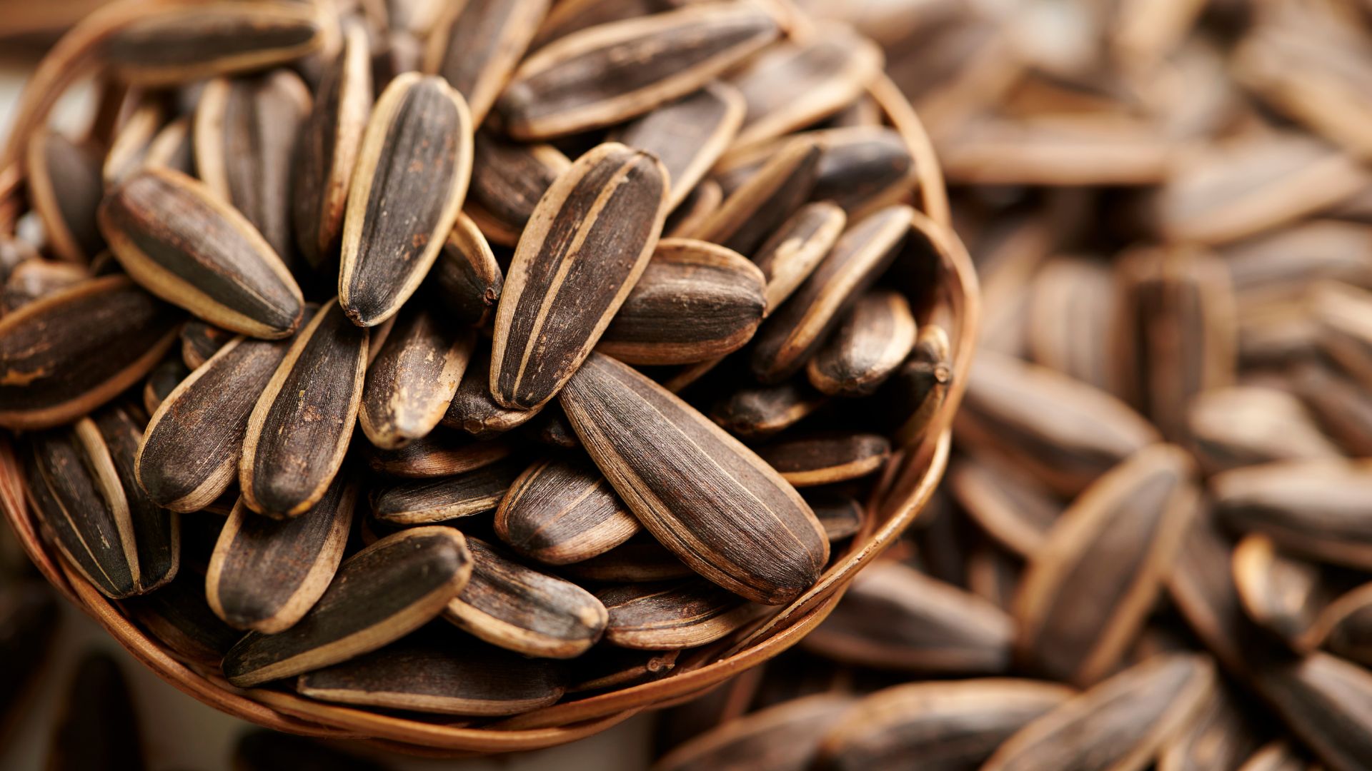 5 Reasons to Start Eating Sunflower Seeds