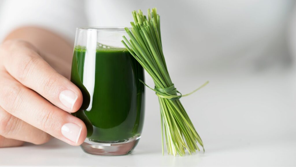 Benefits of Wheatgrass