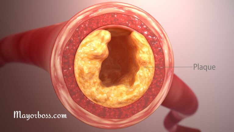 Foods That Will Keep Your Cholesterol Levels Low
