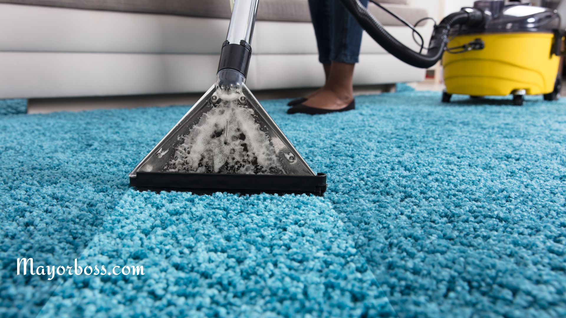 How Often Should You Clean Your Carpet?