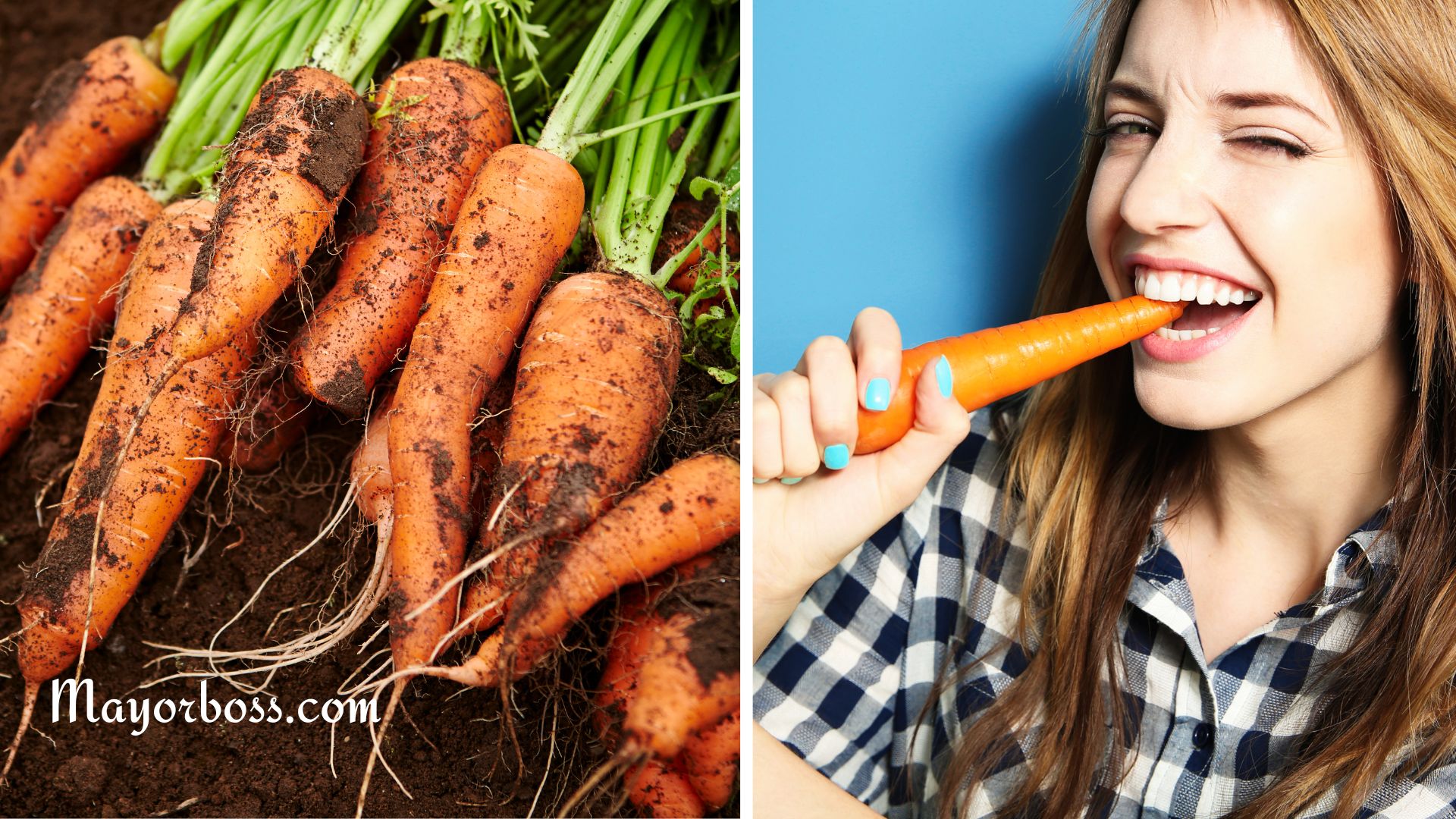 Reasons To Eat One Carrot a Day