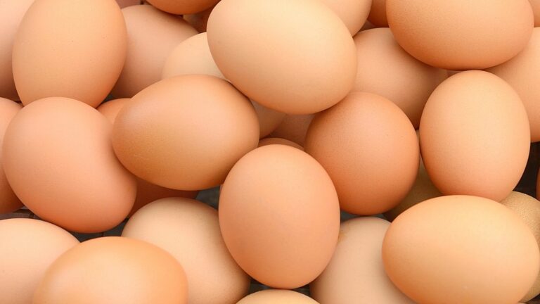 Reasons Why You Should Have Eggs for Breakfast