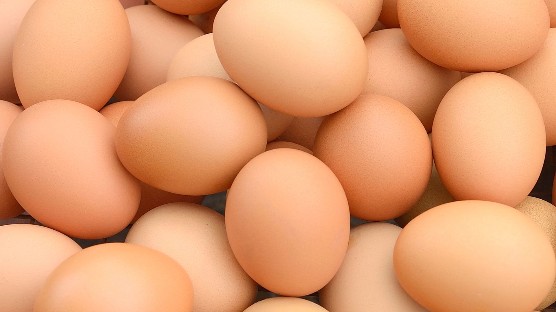 7 Reasons Why You Should Have Eggs for Breakfast