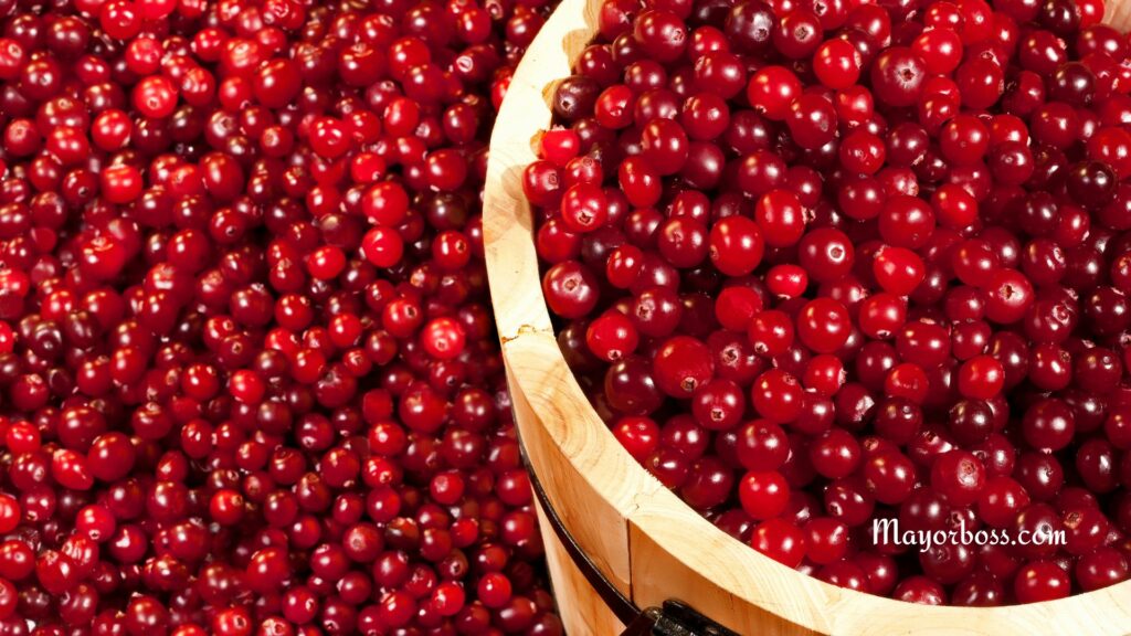 Cranberries as part of  fruits that are super nutritious