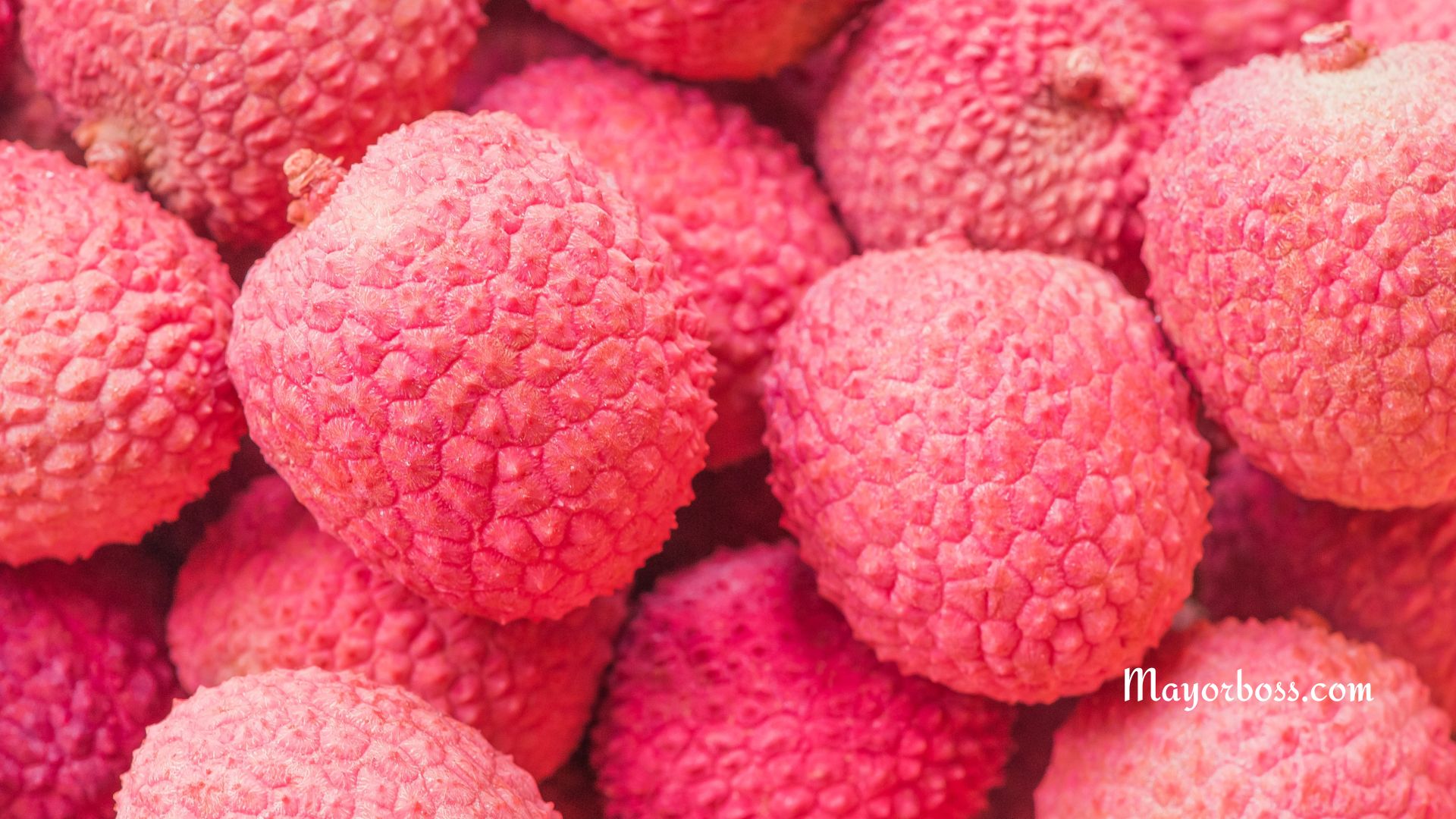 Fruits That Are Super Nutritious