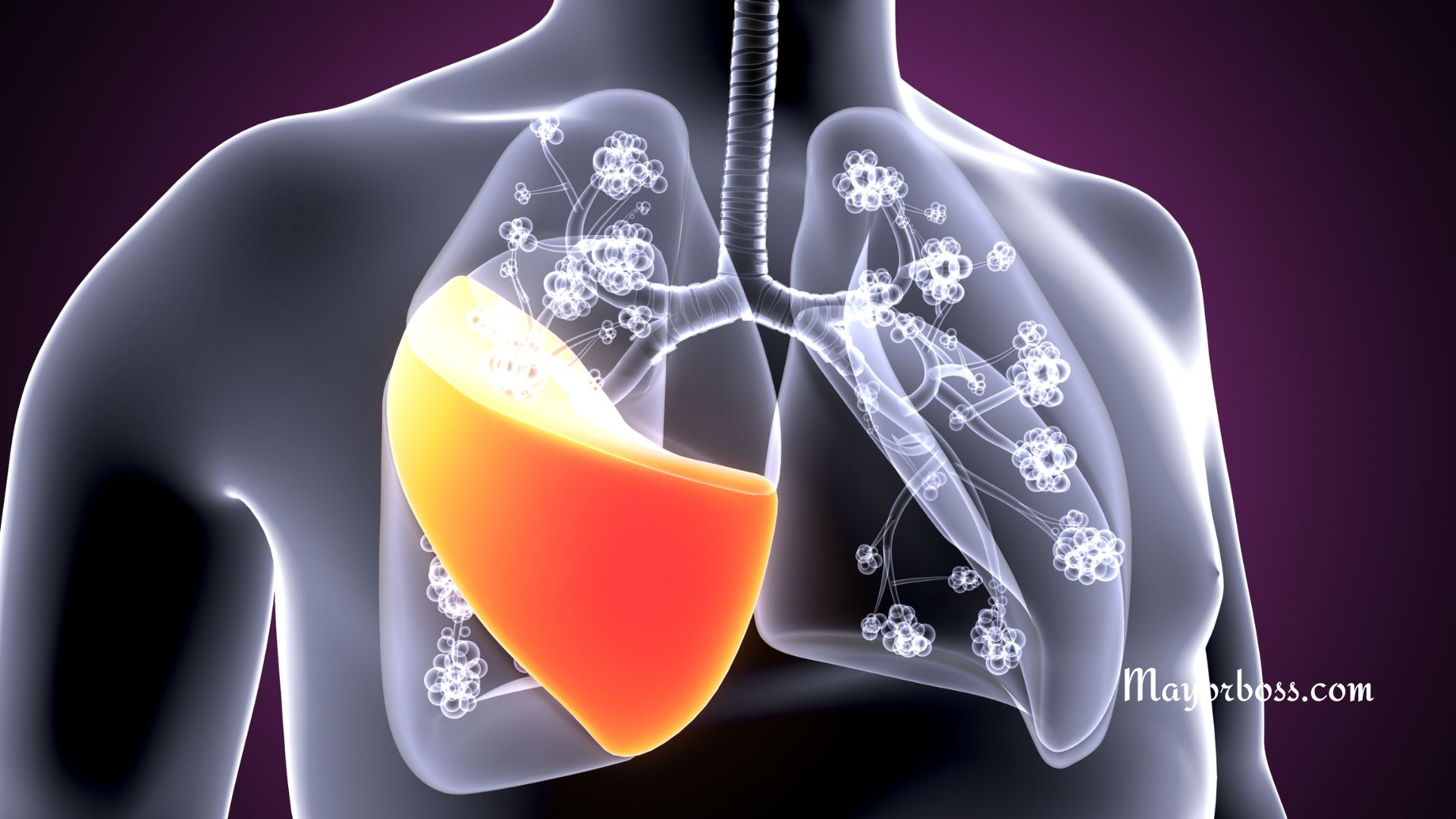 Symptoms Of Lung Cancer That You Should Be Aware Of