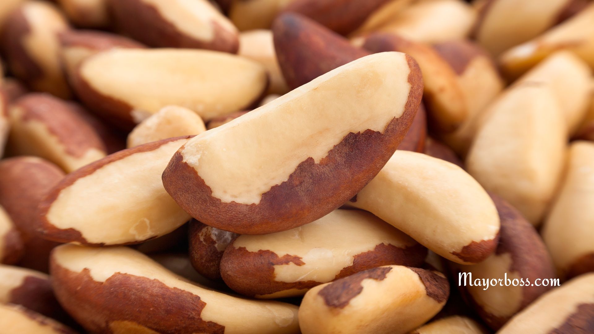 Foods High in Selenium