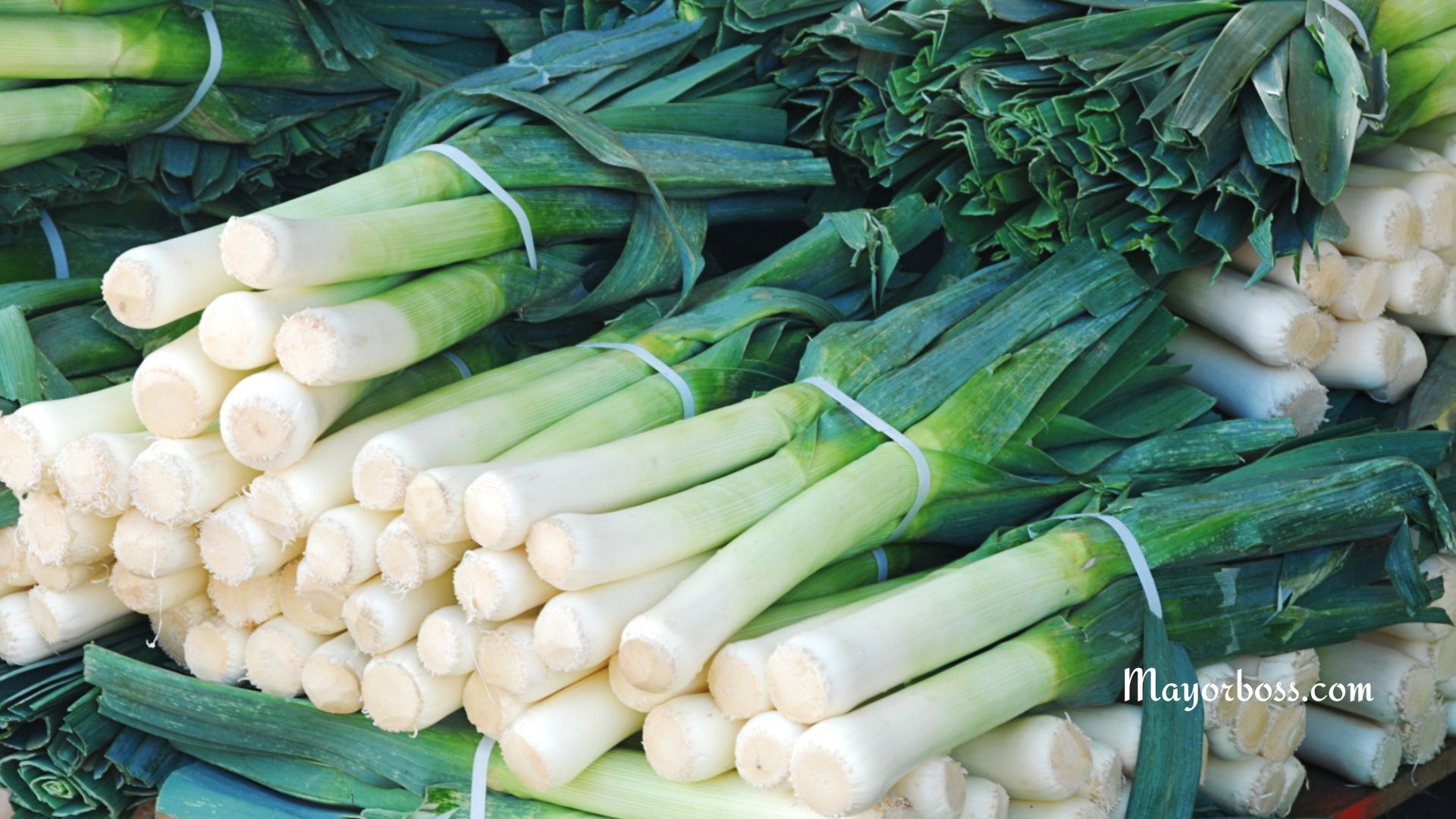 Foods High in Sulfur