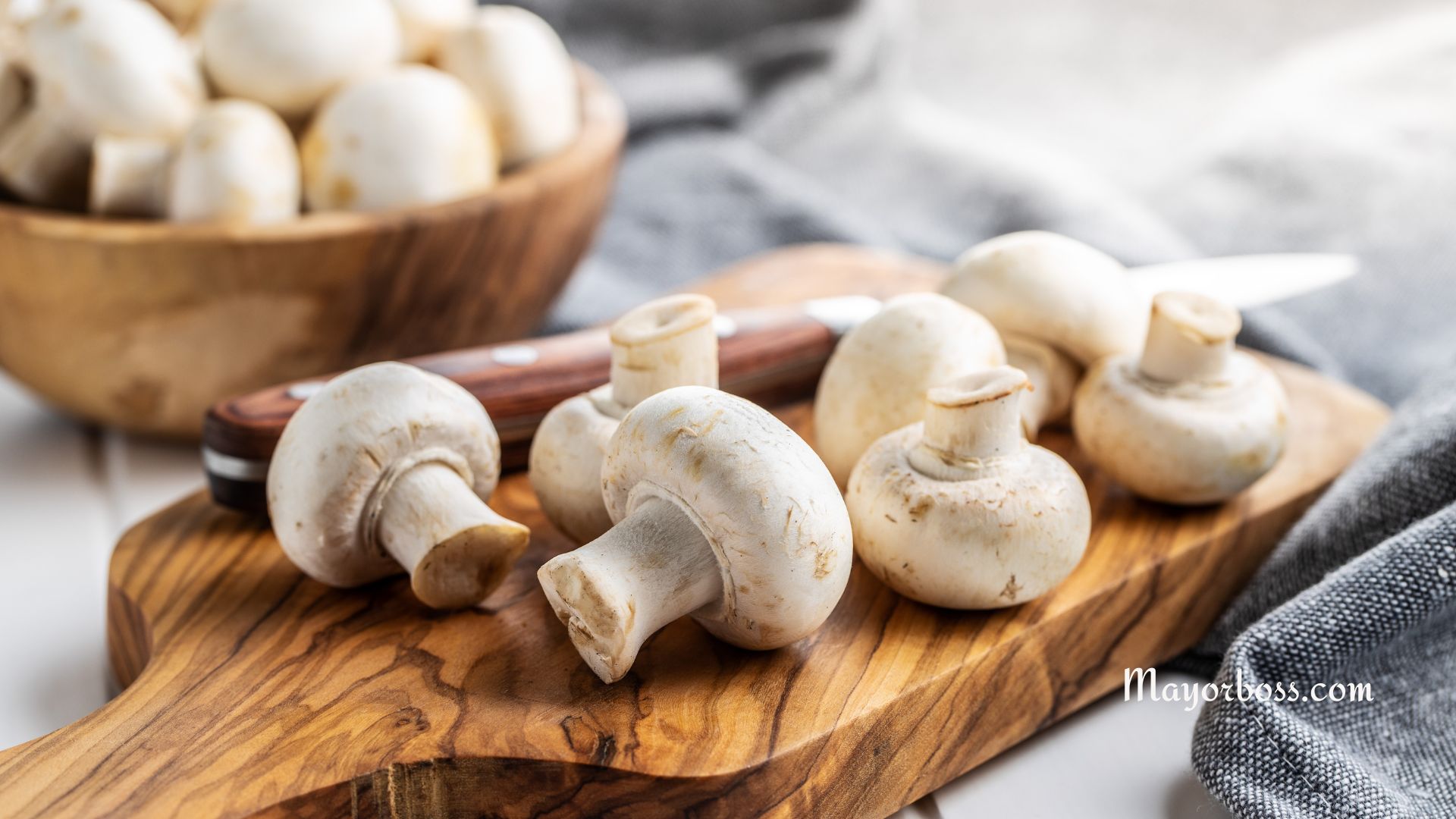 10 Health Benefits of Mushrooms