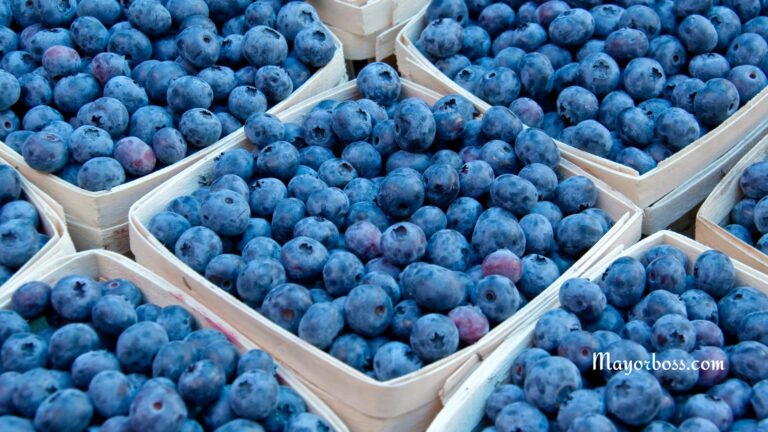 Reasons to Eat Blueberries Every Day