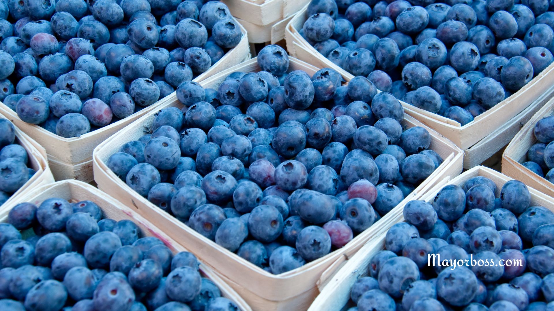 5 Reasons to Eat Blueberries Every Day