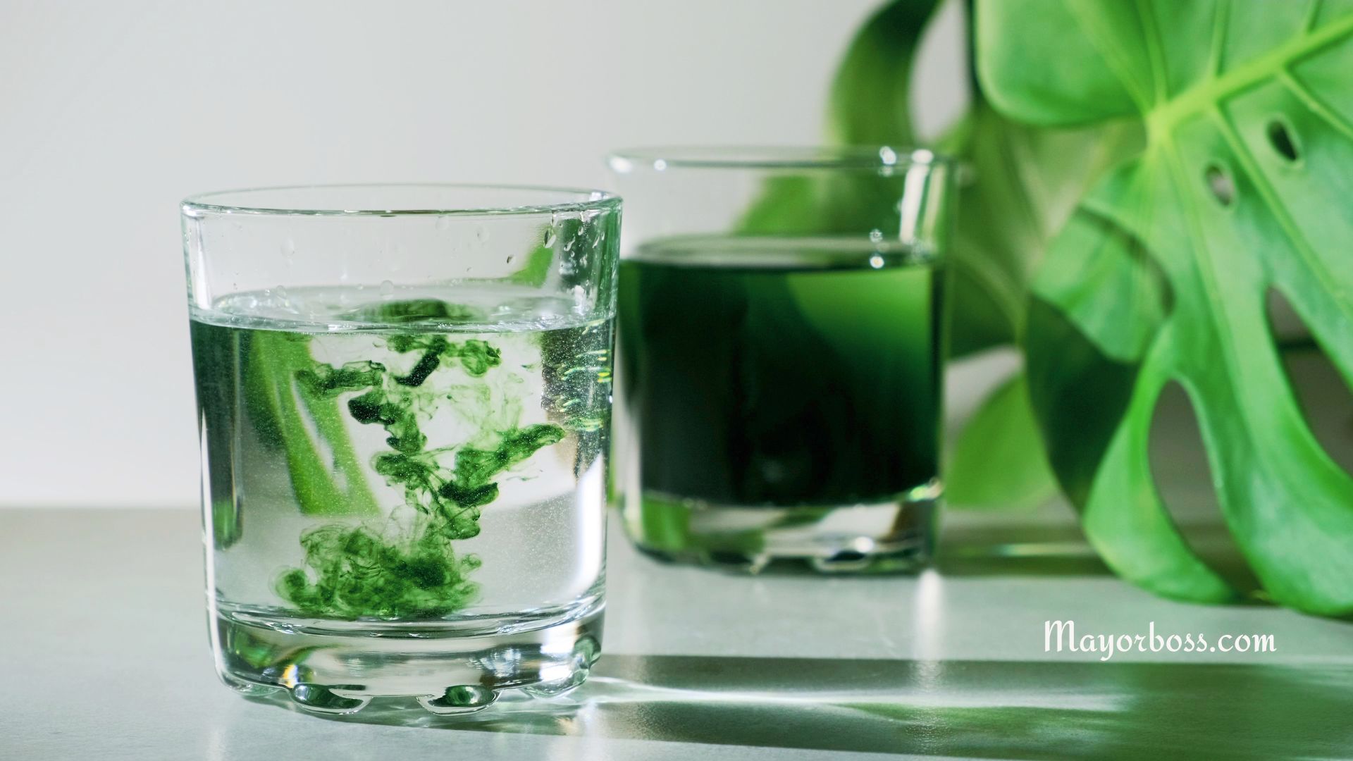 The Remarkable Benefits of Chlorophyll