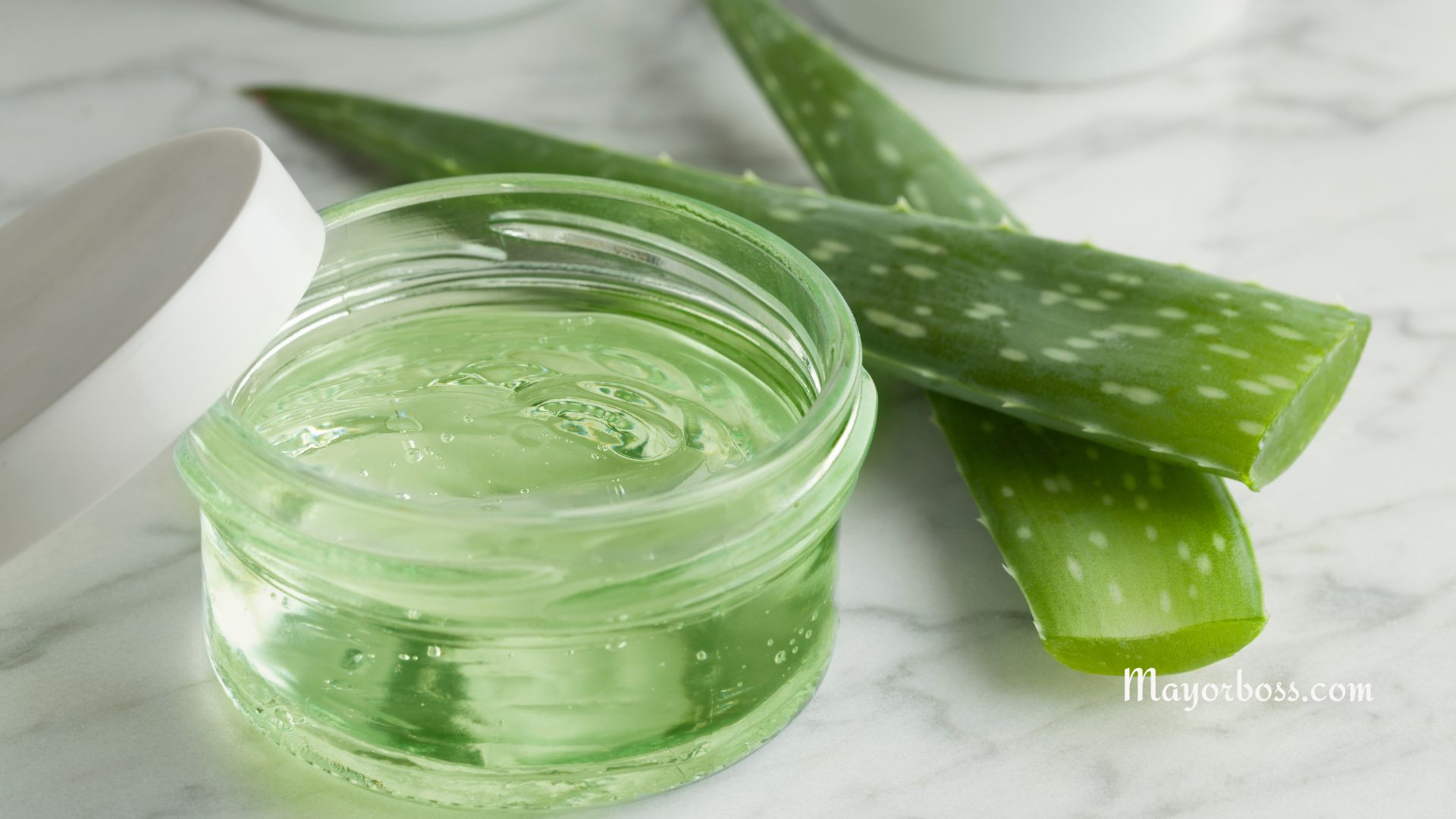 Aloe Vera Benefits