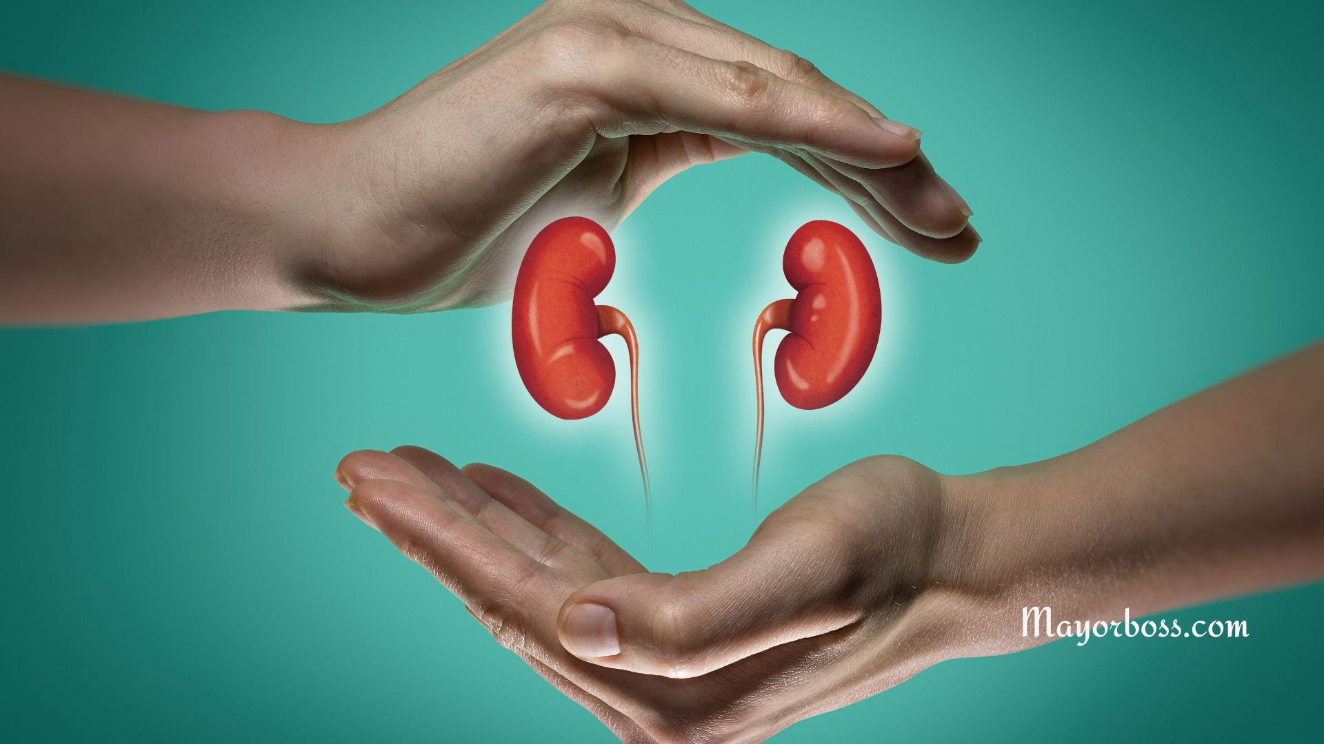 Ways to Keep Your Kidneys Healthy