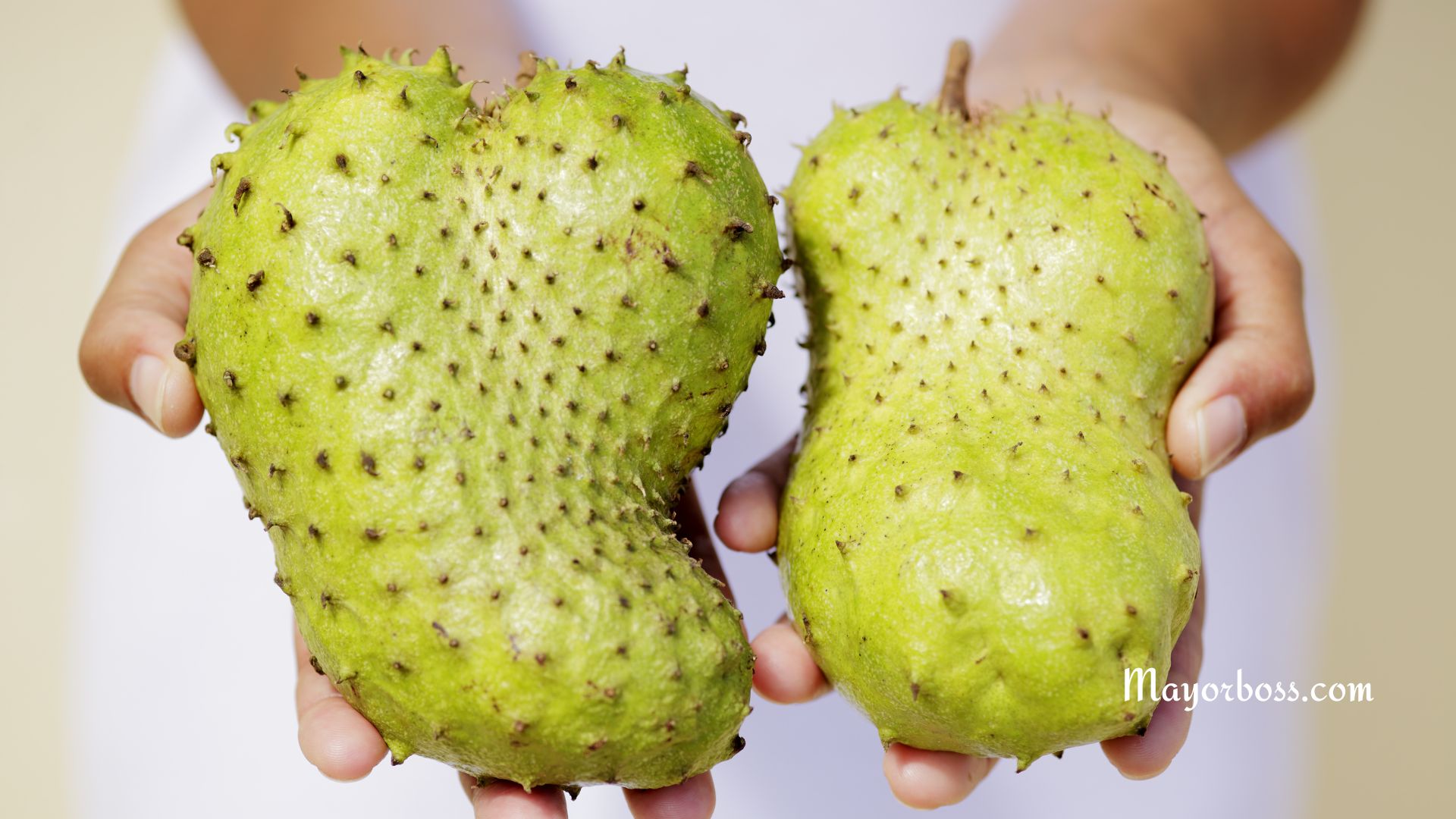 Benefits of Soursop