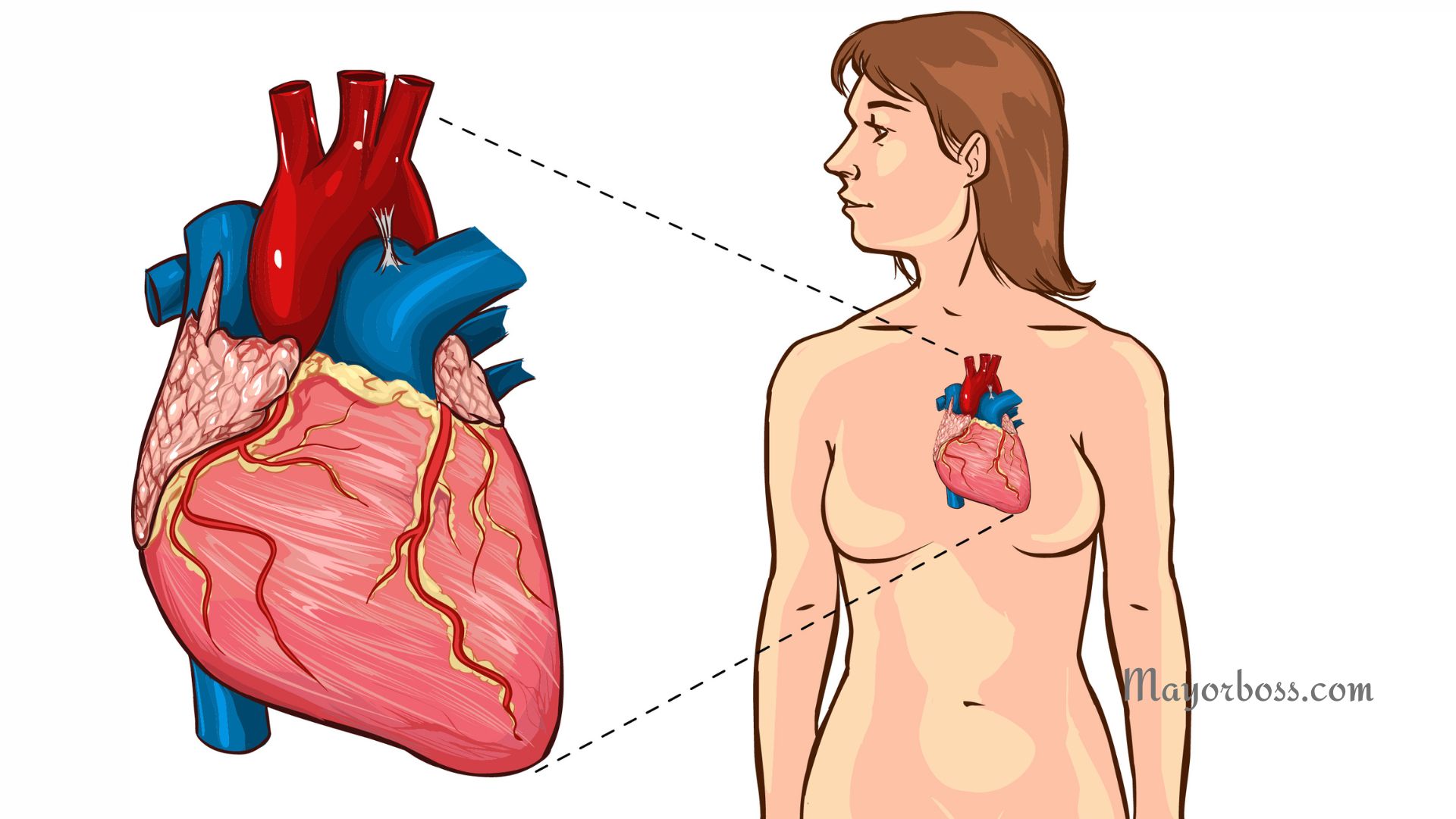 5 Major Heart Attack Red Flags You Need To Know