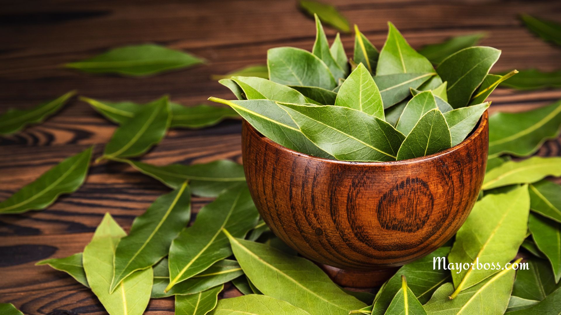 Potential Health Benefits of Bay Leaf