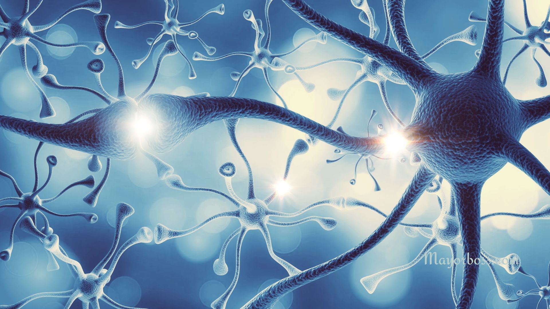 Serotonin
