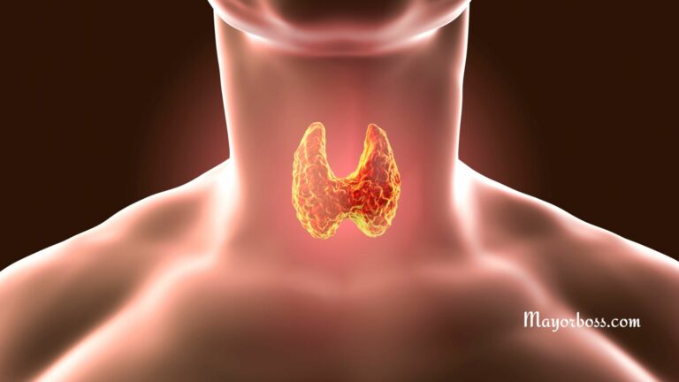 Thyroid