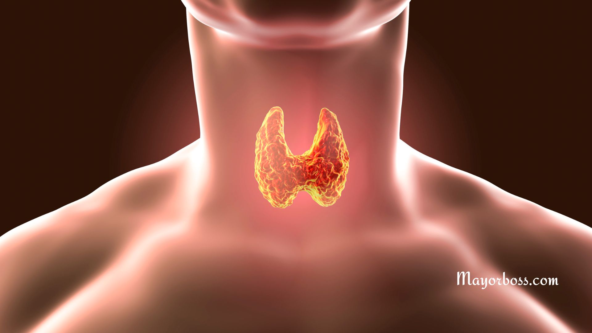 Thyroid