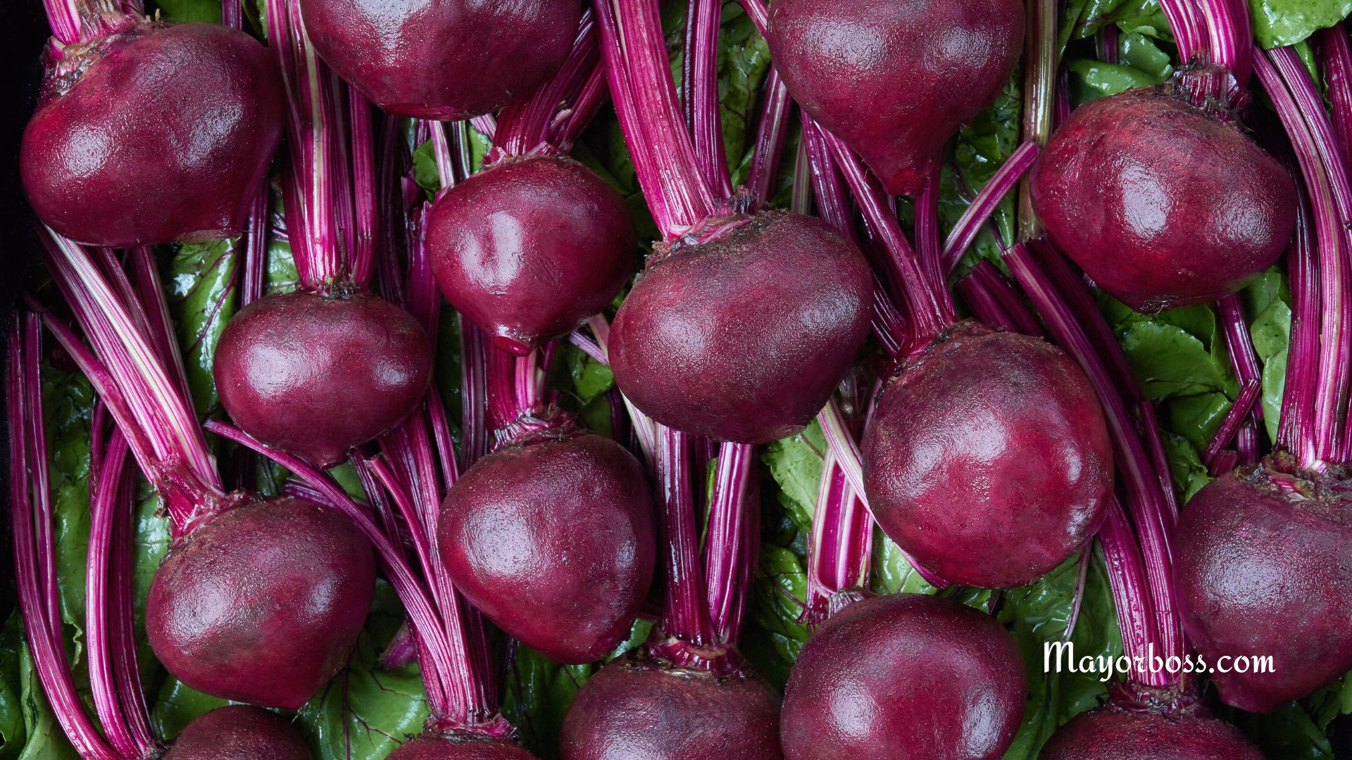 Are Beets Good For You?