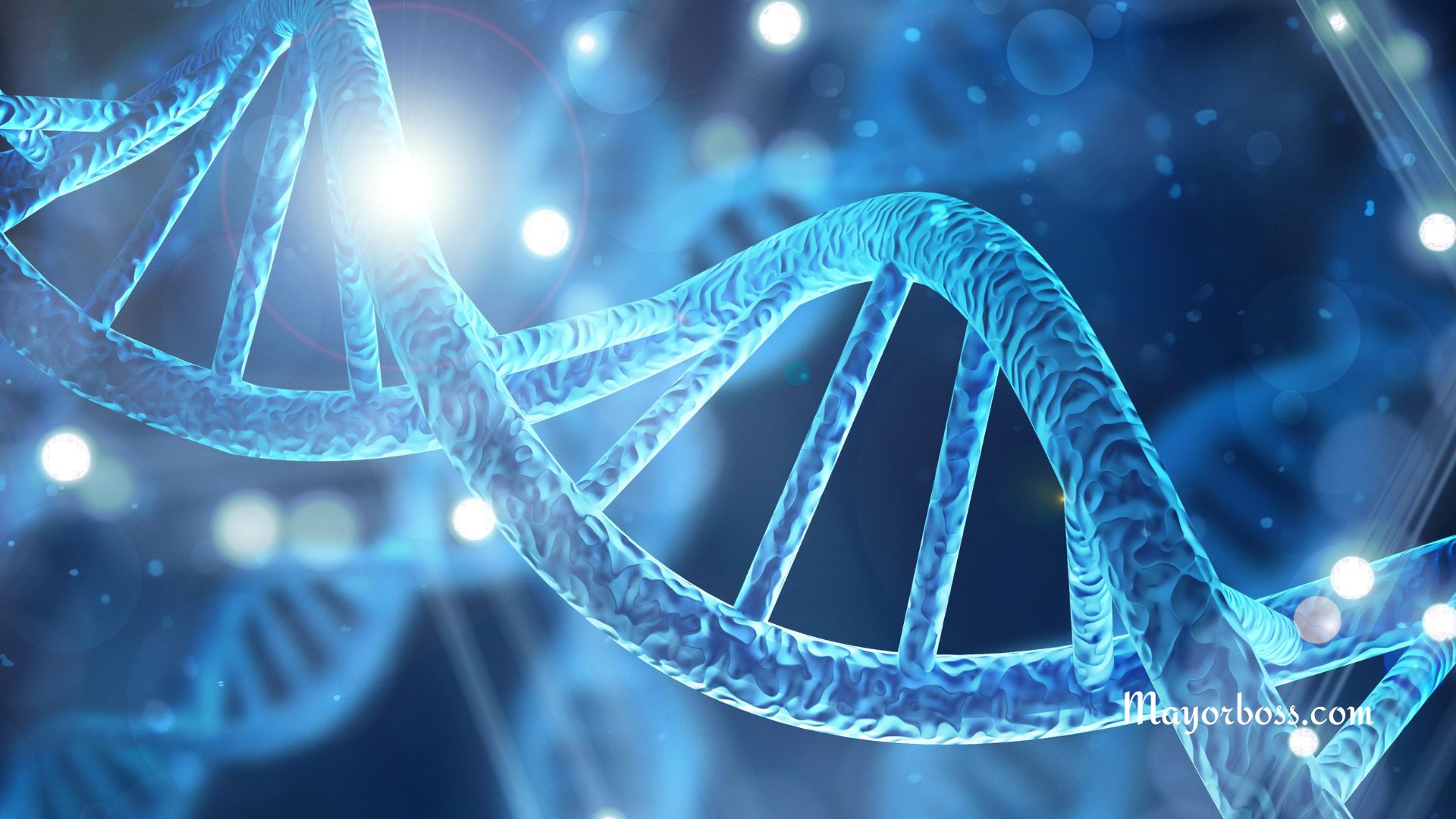 What is DNA?