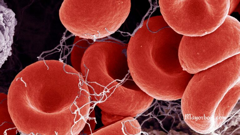 Foods to Prevent a Deadly Blood Clot