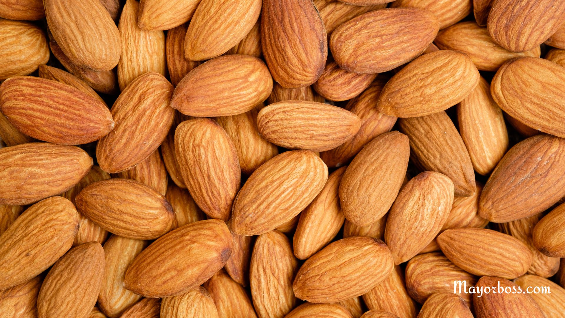 High-Fat Foods That Are Actually Super Healthy