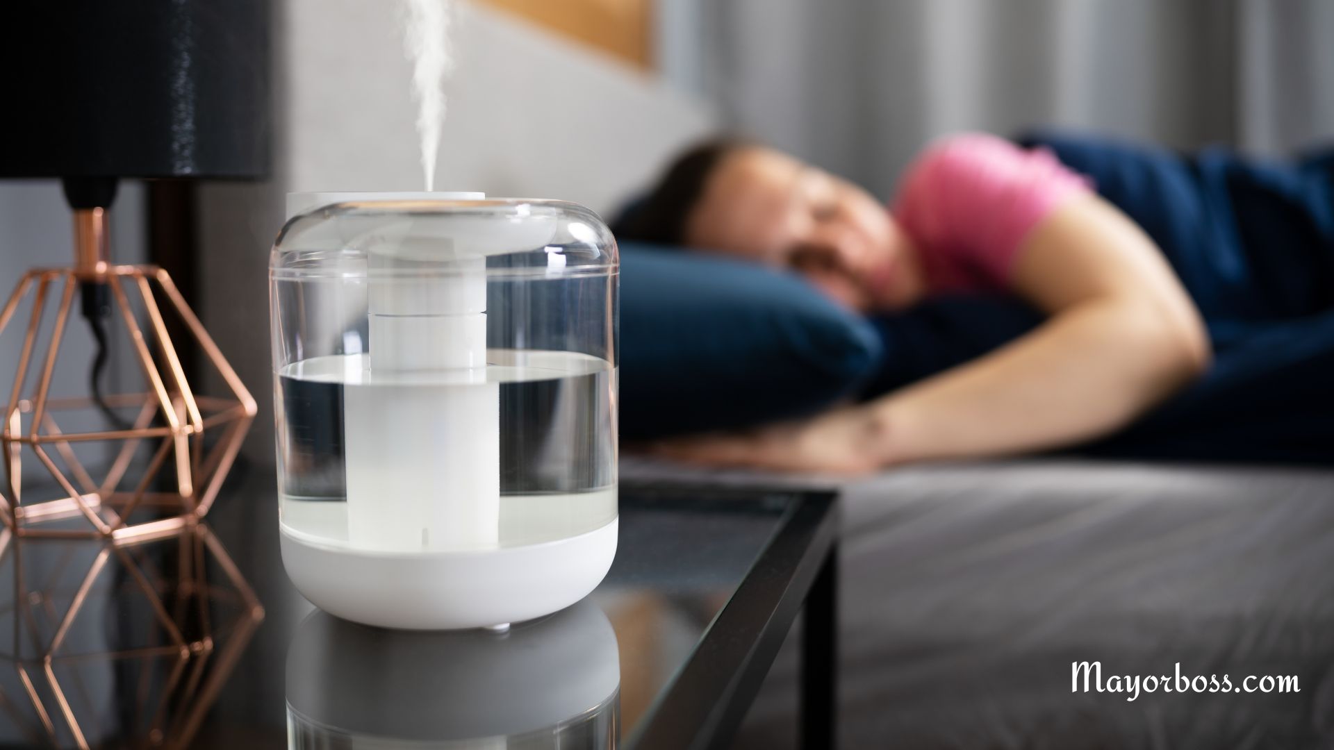 Do You Need a Humidifier? Signs That You Need One