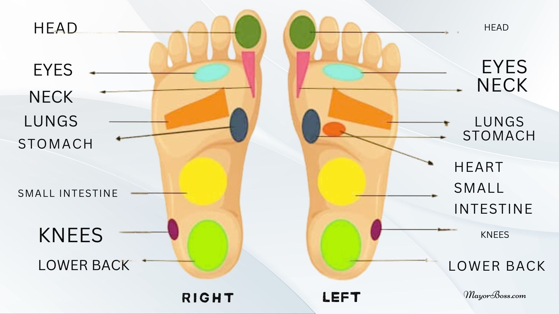 Massaging These Spots on Your Foot May Relieve Pains in Your Body (1)