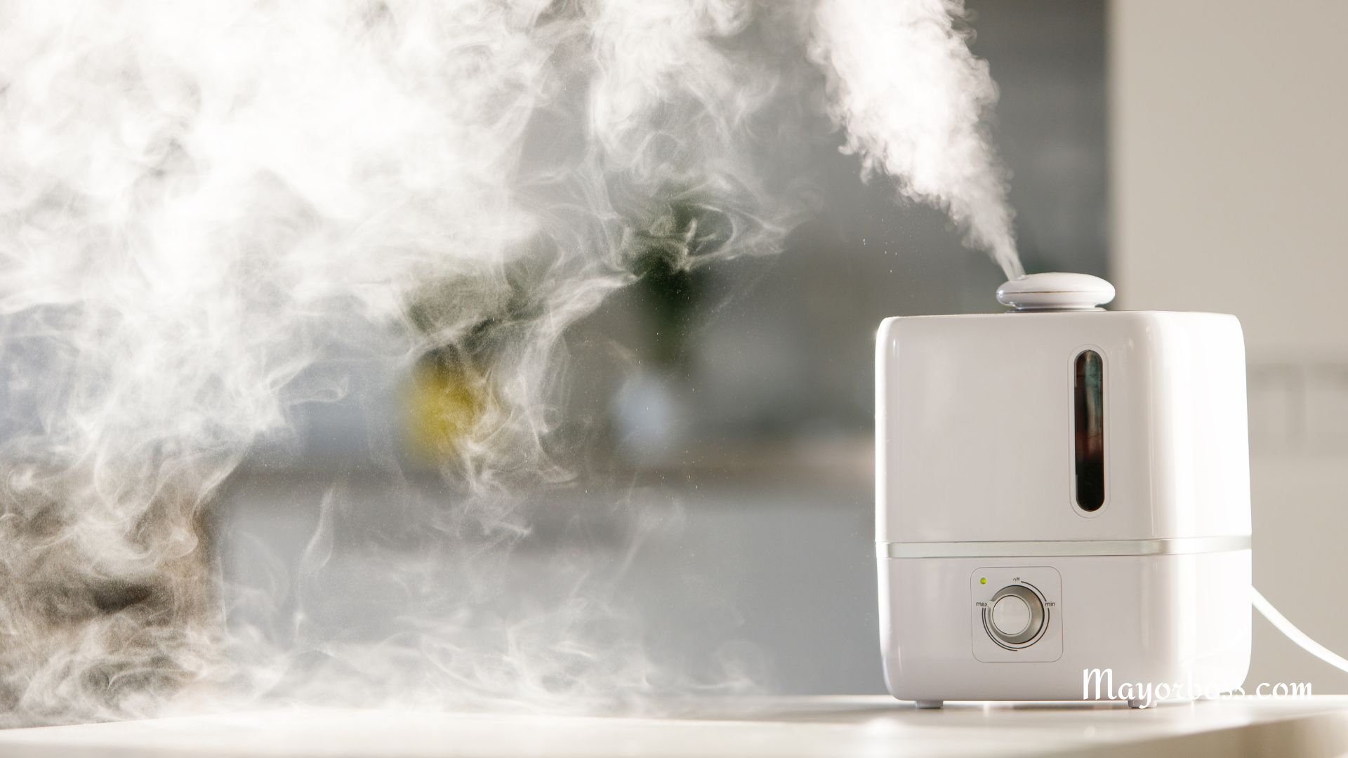 What’s the Difference? Diffuser vs Humidifier