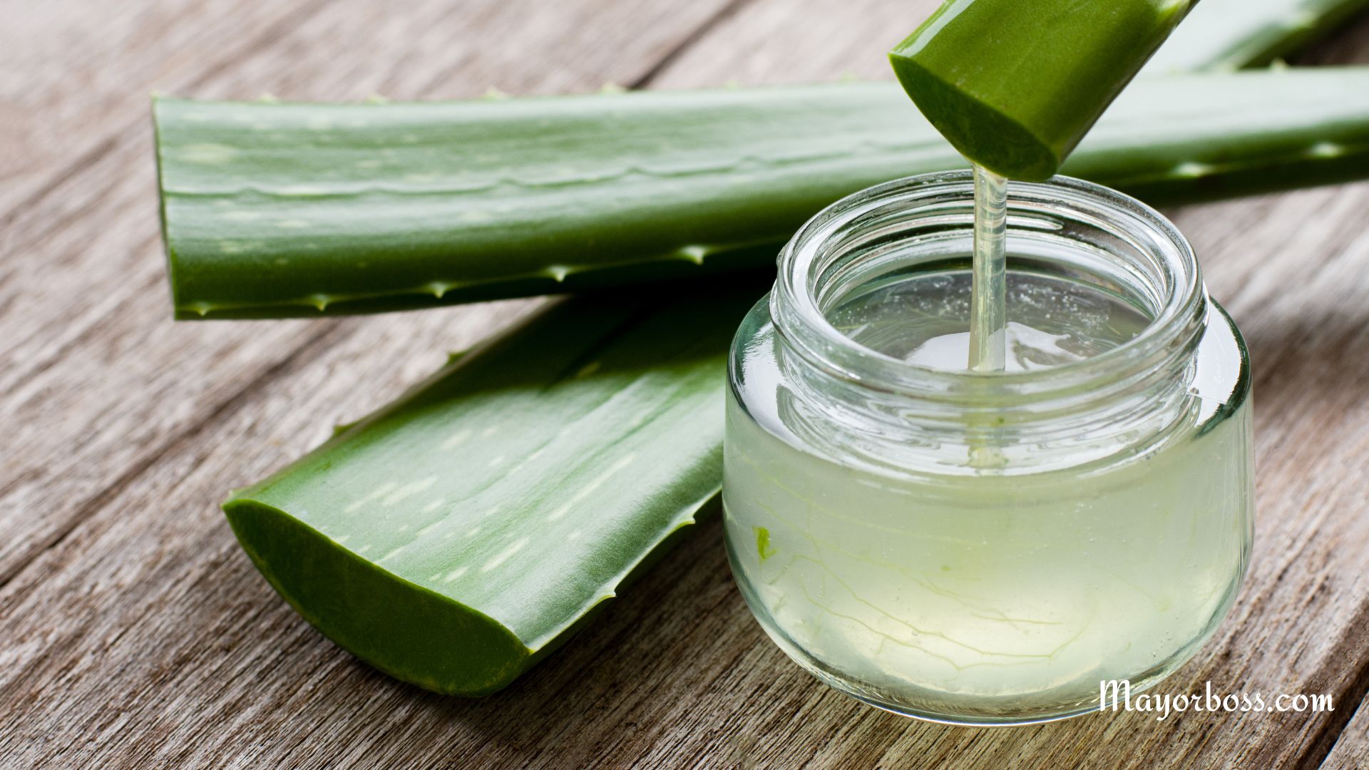 Aloe Vera Allergy: Symptoms, Causes, and Treatment