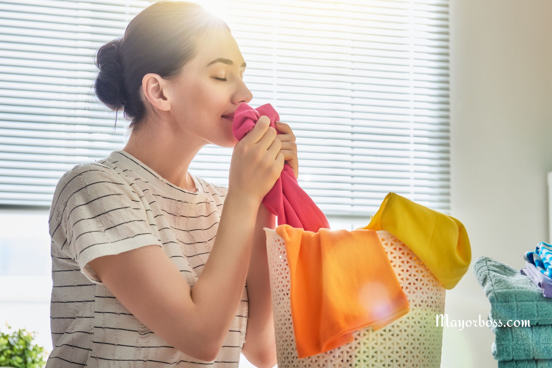 Odor Elimination 101: Tips to Keep Your Laundry Smelling Fresh