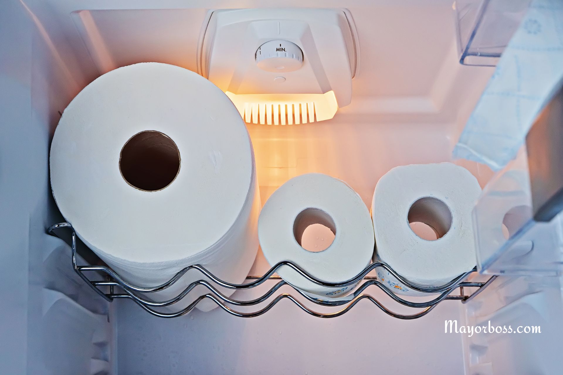 Put A Roll of Paper Towels in Your Fridge. Here’s Why