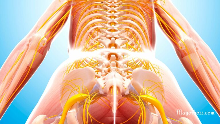 Tailbone: Why Does It Stick Out and What Can You Do?